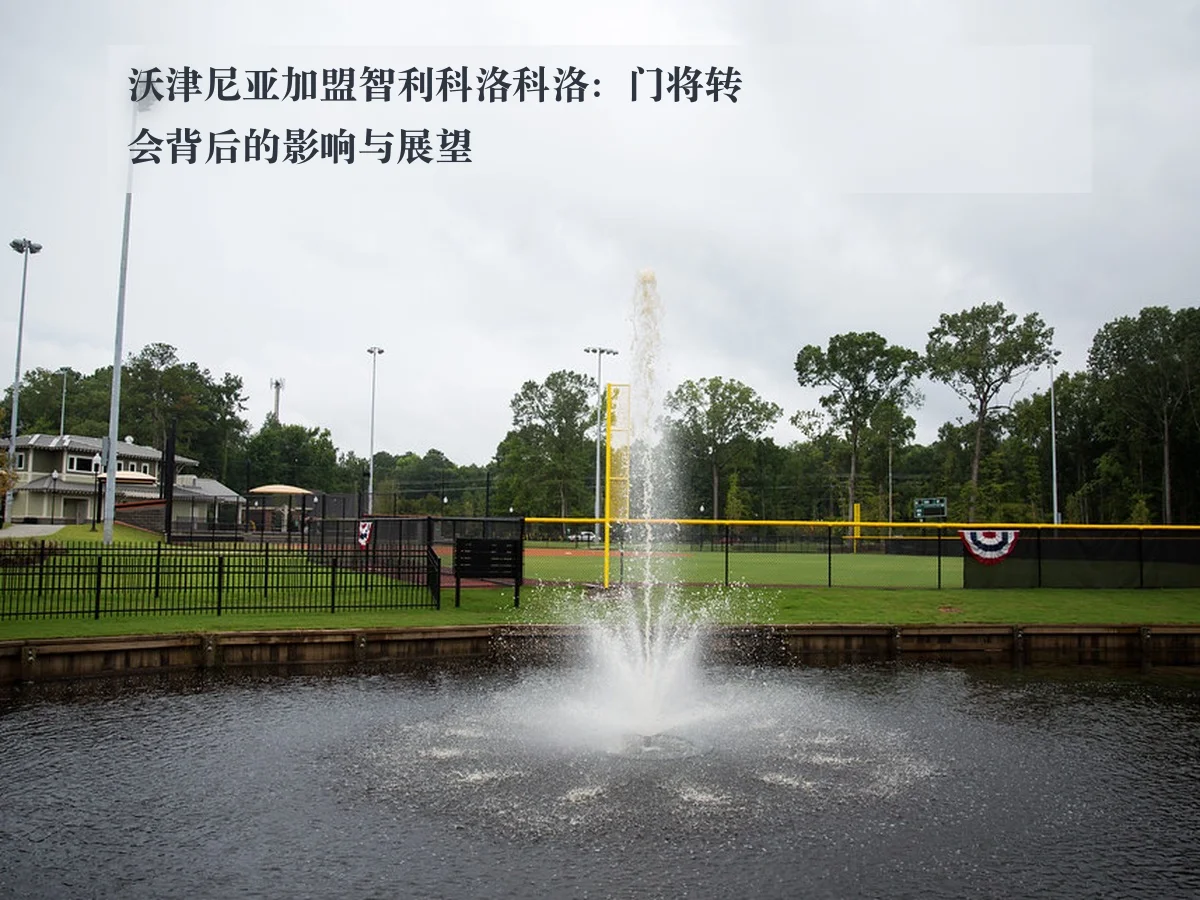 沃津尼亚加盟智利科洛科洛：门将转会背后的影响与展望